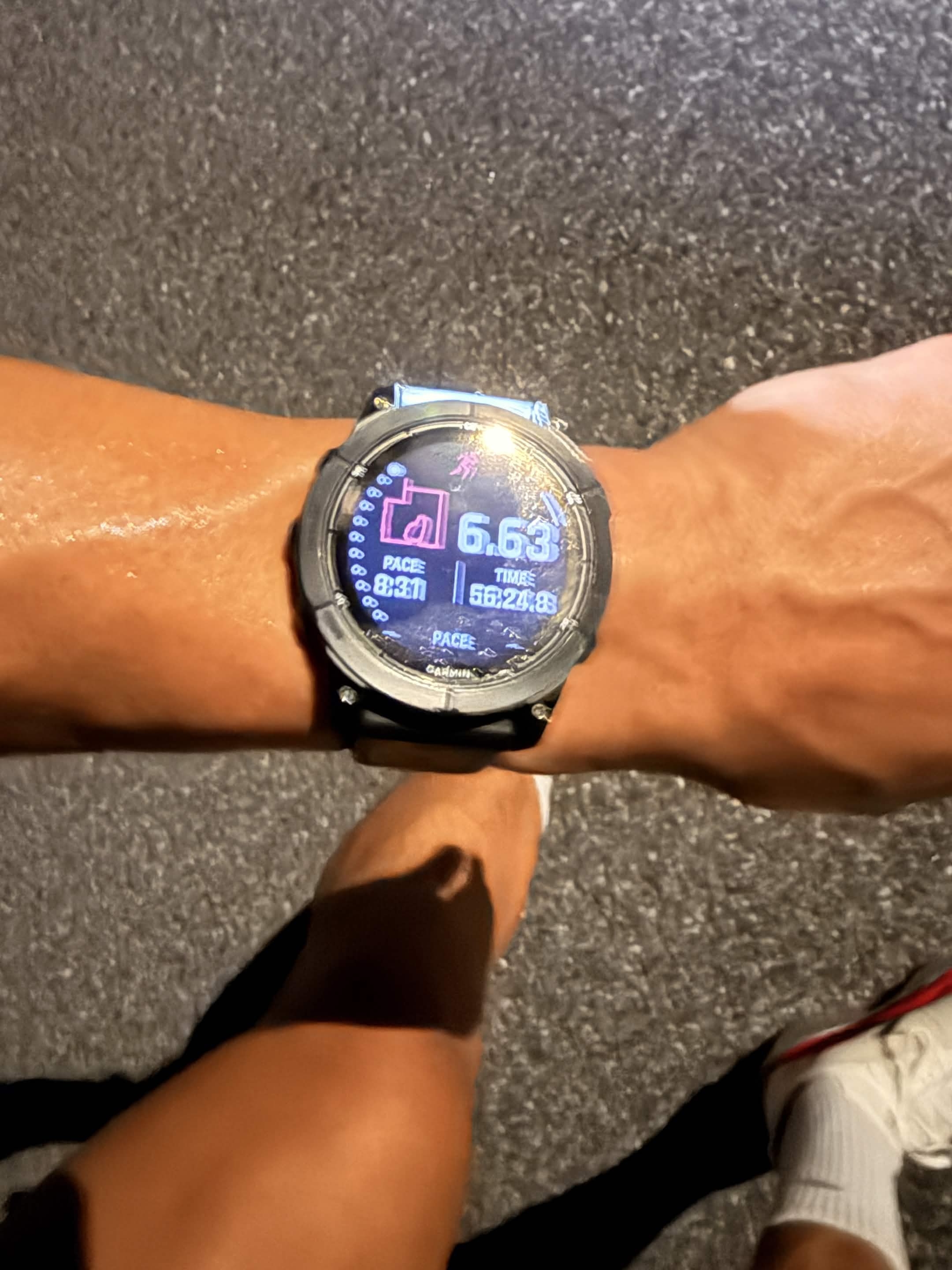 Garmin Fenix 7 Pro: 8:31 pace, 56:24