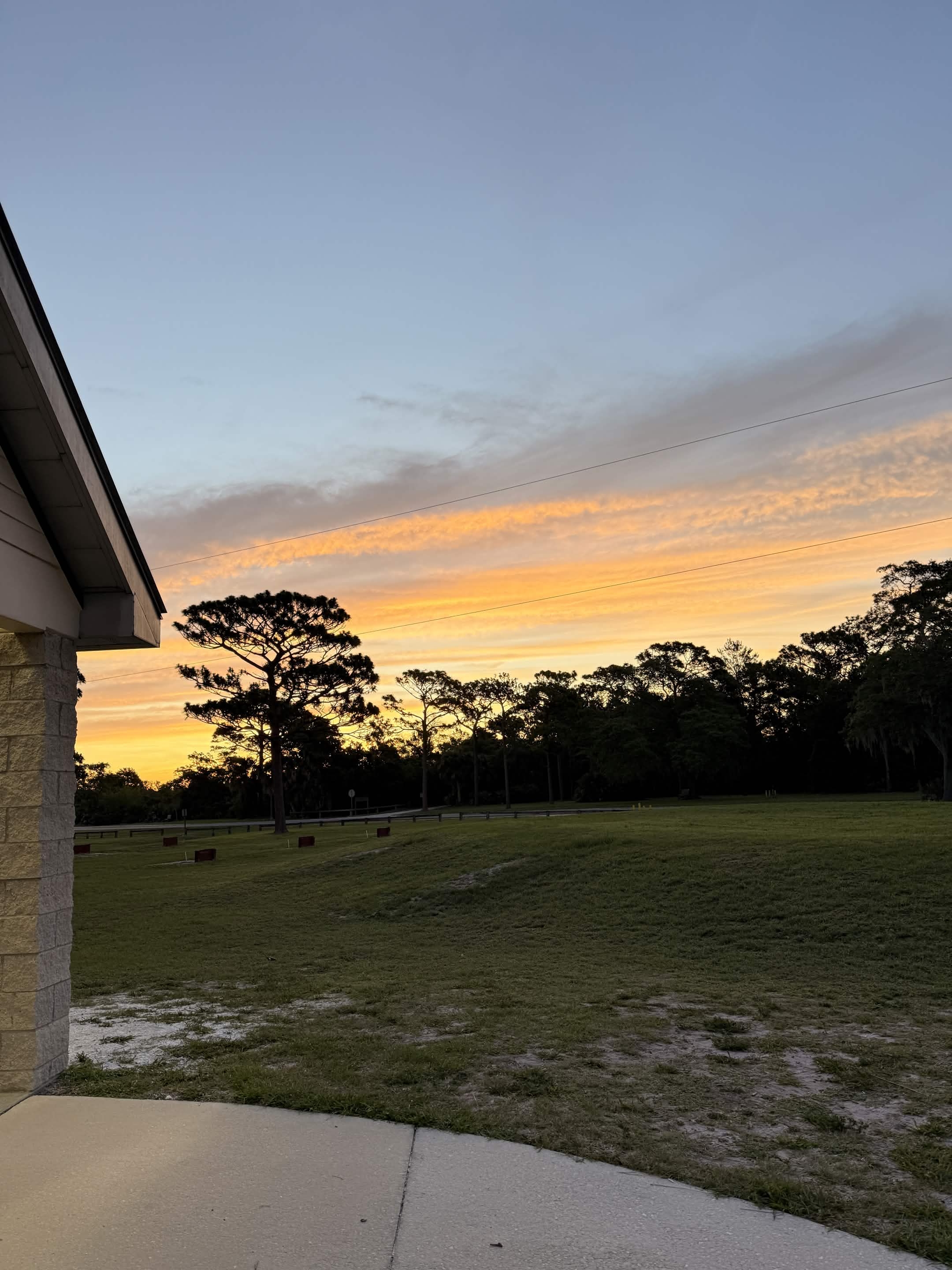 Sunrise over a Florida park — orange and gold sky behind a tall pine, walkway curving into the field.