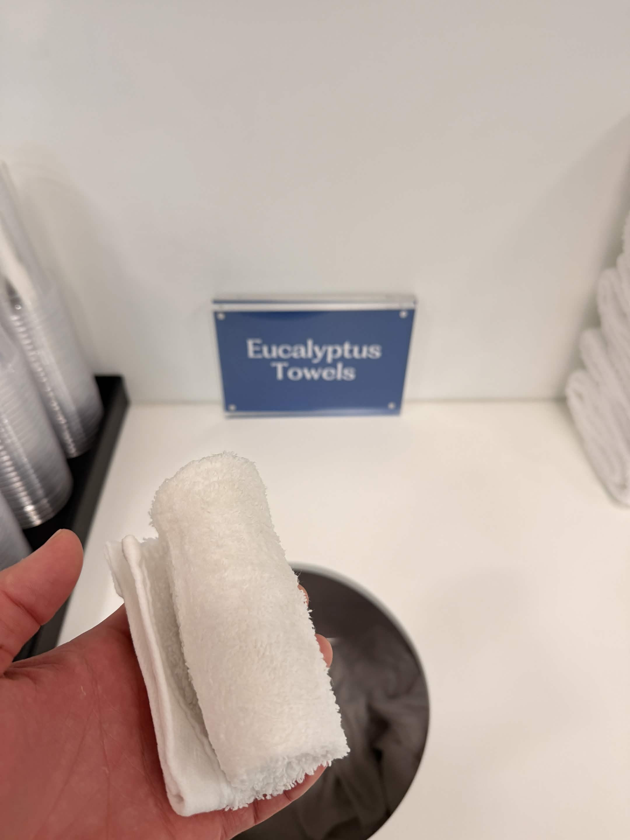 Eucalyptus towel at the hotel gym — the one part of West Palm I have no complaints about.