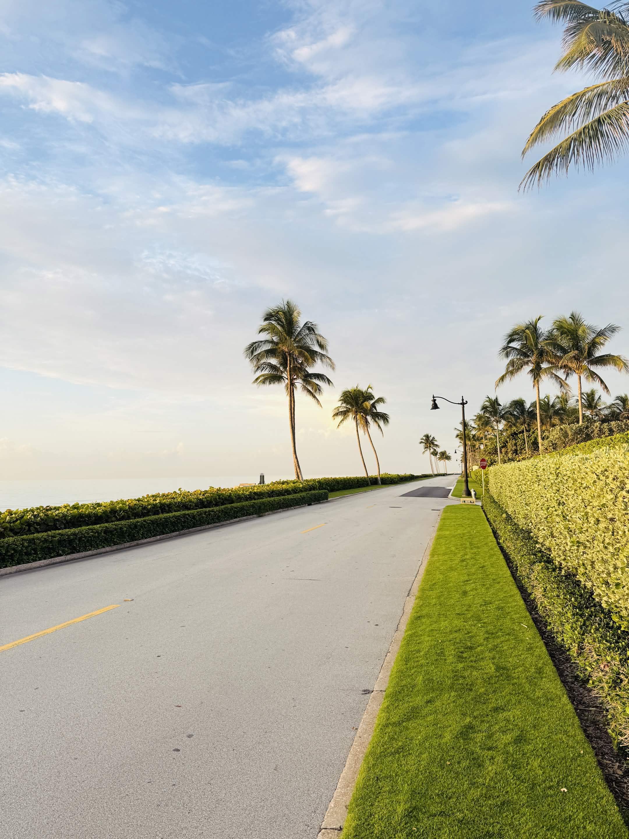 Palm-lined road along the ocean in West Palm Beach, early morning.